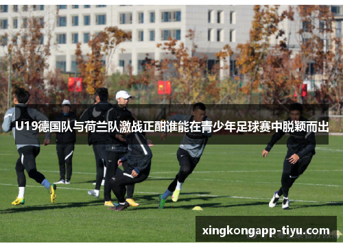 U19德国队与荷兰队激战正酣谁能在青少年足球赛中脱颖而出